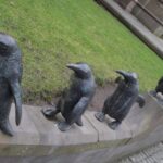 penguins