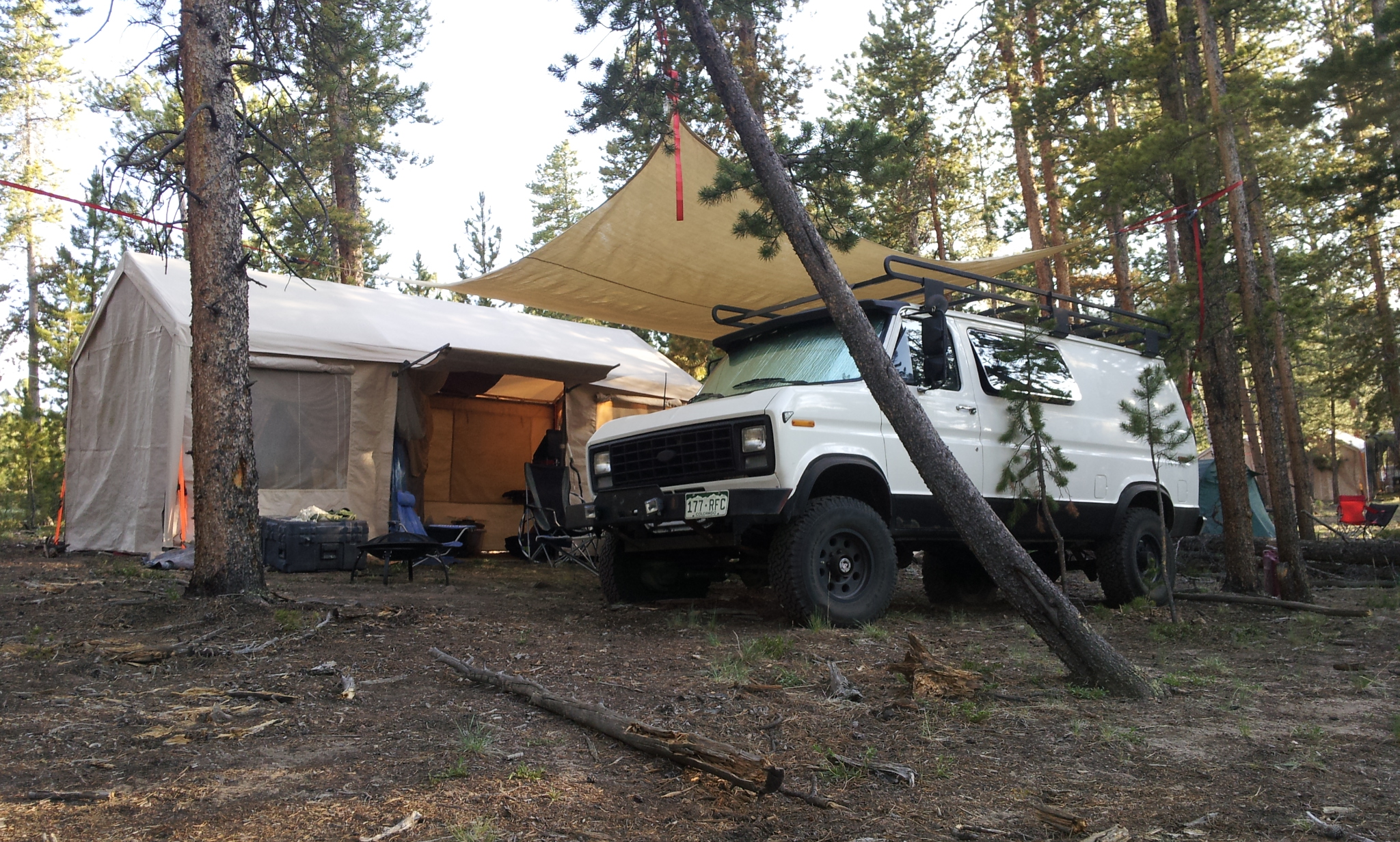 Polar Bear Van gallery image