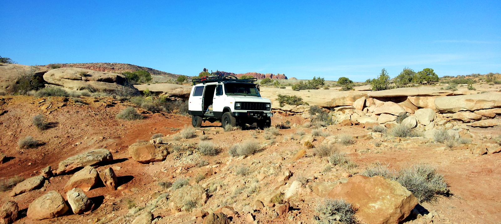 Polar Bear Van gallery image