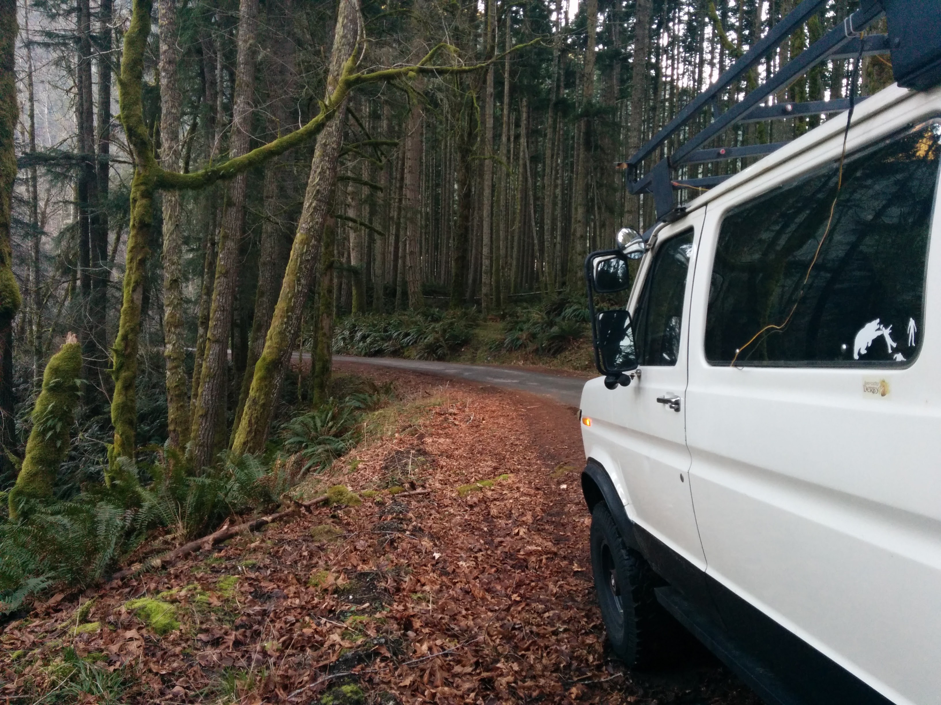 Polar Bear Van gallery image